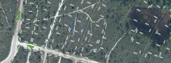 6658 Cotorro Drive, Sebring, FL 33872