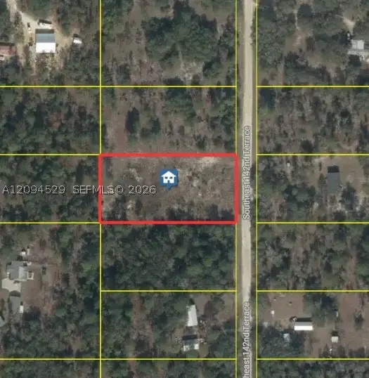XXX 142 Terrace, Williston, FL 32696 - #1