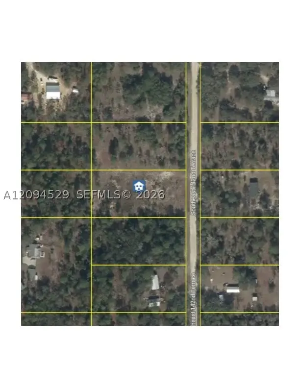 XXX 142 Terrace, Williston, FL 32696 - #2
