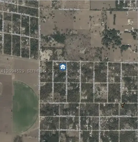 XXX 142 Terrace, Williston, FL 32696 - #3