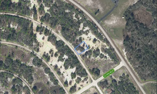 488 Morningside Drive, Lake Placid, FL 33852