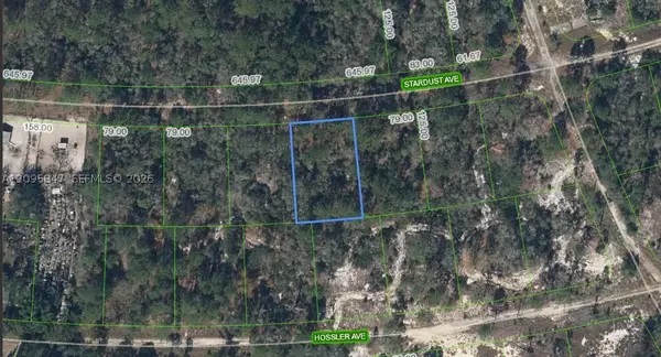 365 Stardust Avenue, Lake Placid, FL 33852
