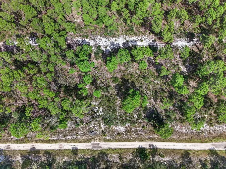 431 Hummingbird Ave, Sebring, FL 33872 - #3
