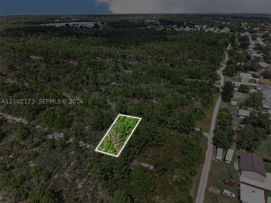 411 Scaup Ave, Sebring, FL 33872 - #3