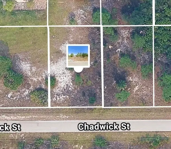 1043 Chadwick St, Lehigh Acres, FL 33974 - #1