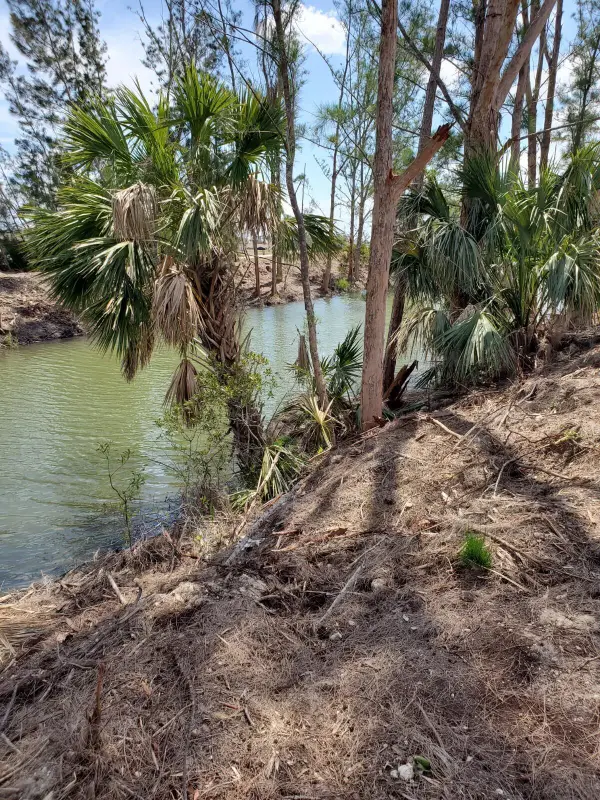 3905 NE 9th Avenue, Cape Coral, FL 33909