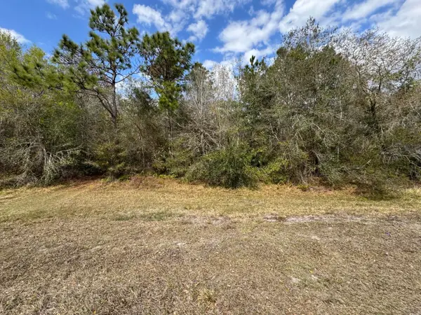 000 Canoe Creek Road, ,, FL 34739