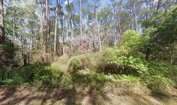 418 Palm Way, ,, FL 32139