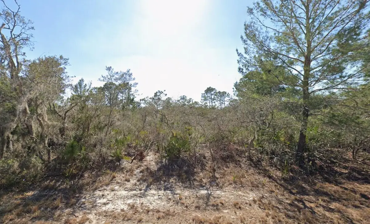 3235 N Dahlia Drive, Lake Placid, FL 33852 - #1