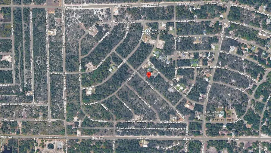 3235 N Dahlia Drive, Lake Placid, FL 33852 - #3