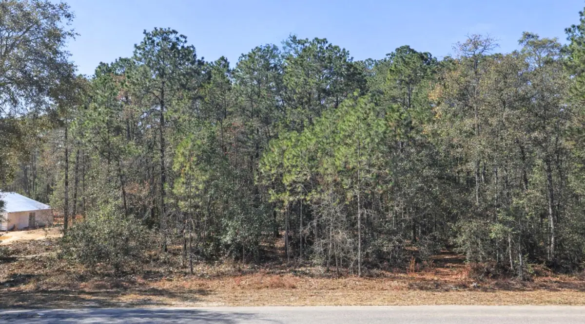 0000 SW Rainelle Road, Rainbow Lakes Estates, FL 34431 - #1