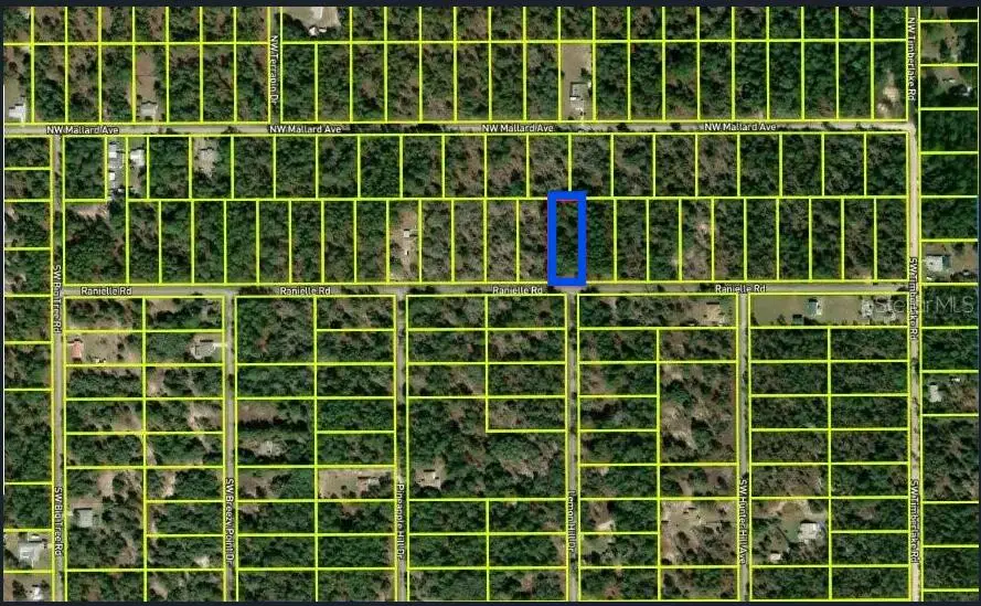 0000 SW Rainelle Road, Rainbow Lakes Estates, FL 34431 - #3
