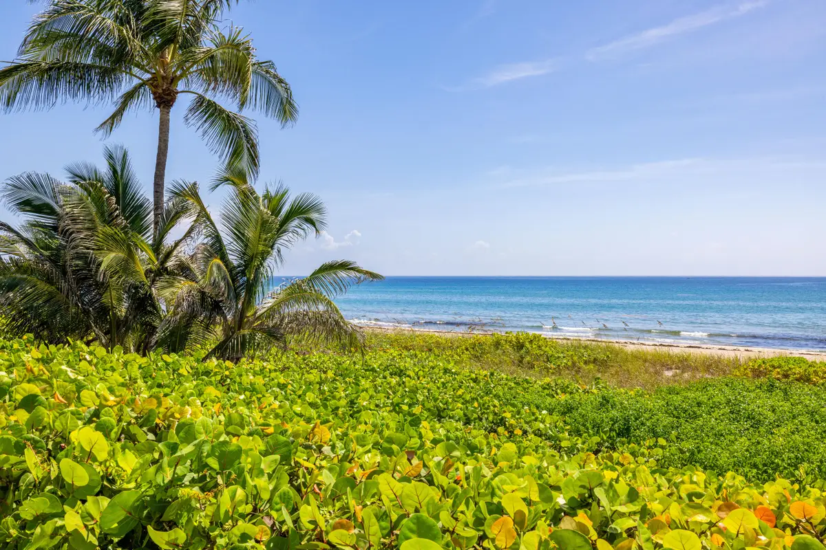 246 NE 14th Street, Delray Beach, FL 33444 - #1