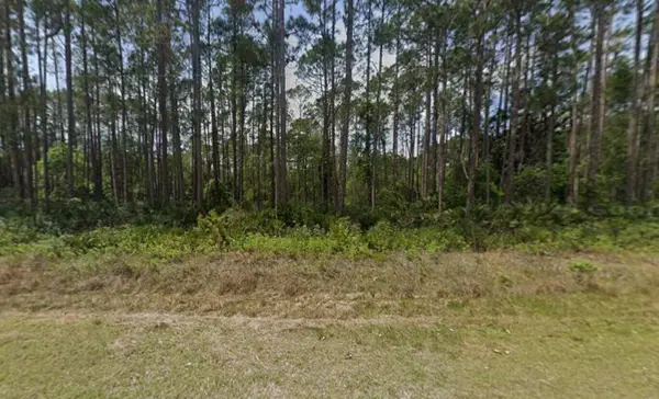 141 E Boundary Drive, ,, FL 32139