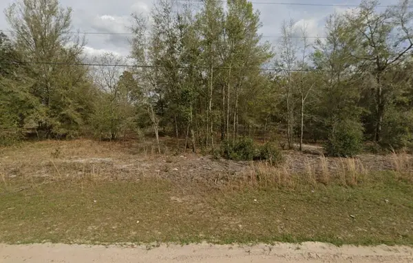 Tbd Marion Avenue, ,, FL 32148