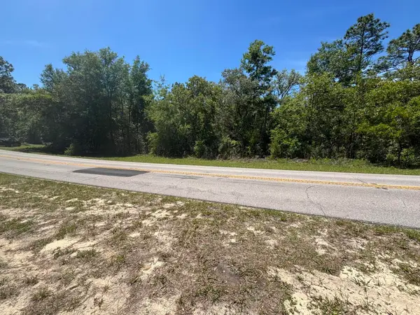 3334 N Annapolis Avenue, ,, FL 34442