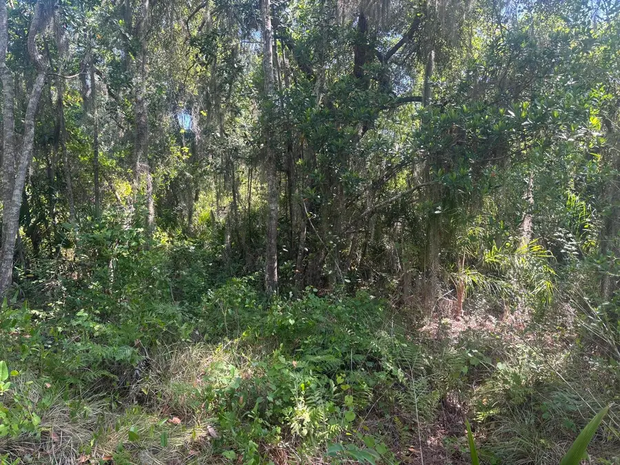 536 Bright Hill Avenue, Lake Placid, FL 33852 - #2