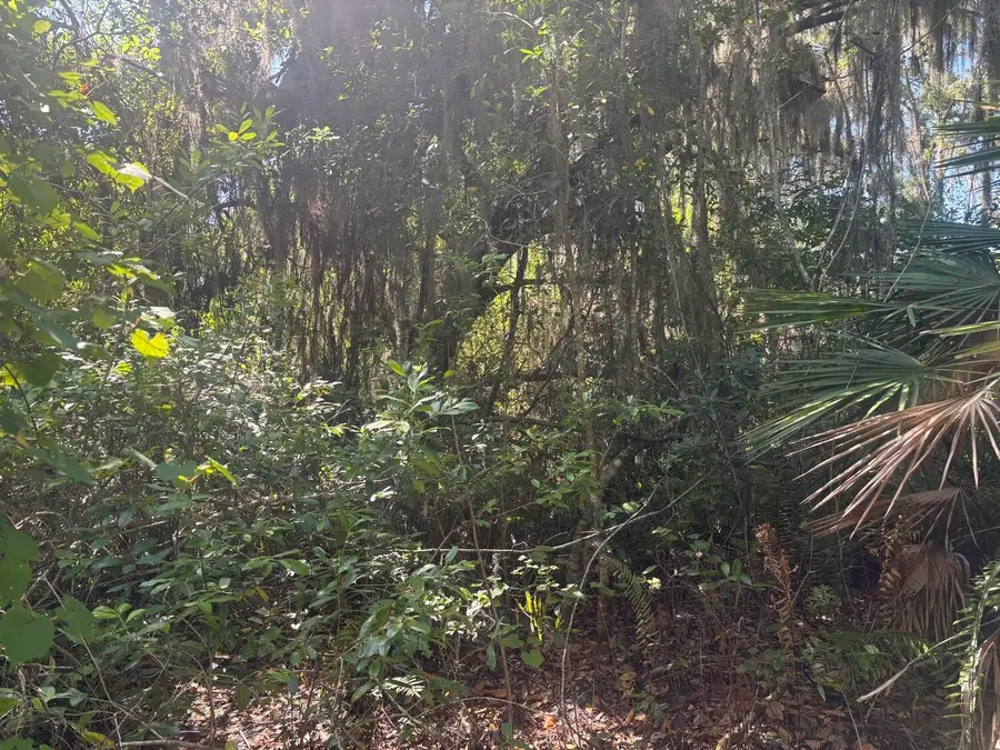 536 Bright Hill Avenue, Lake Placid, FL 33852 - #3