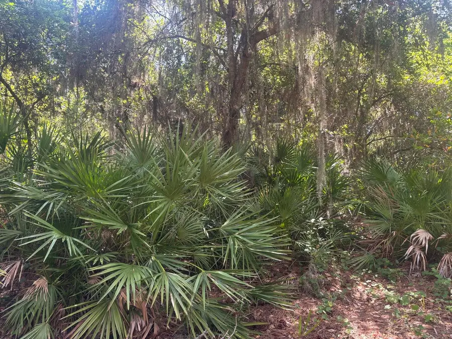 536 Bright Hill Avenue, Lake Placid, FL 33852 - #2