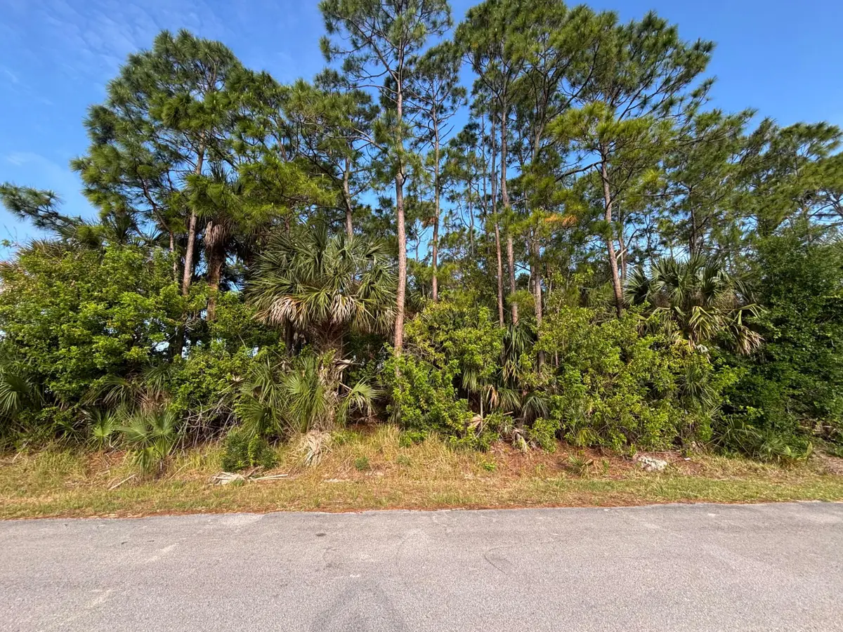 556 NE Burlington Ave Avenue Ne, Palm Bay, FL 32907 - #1