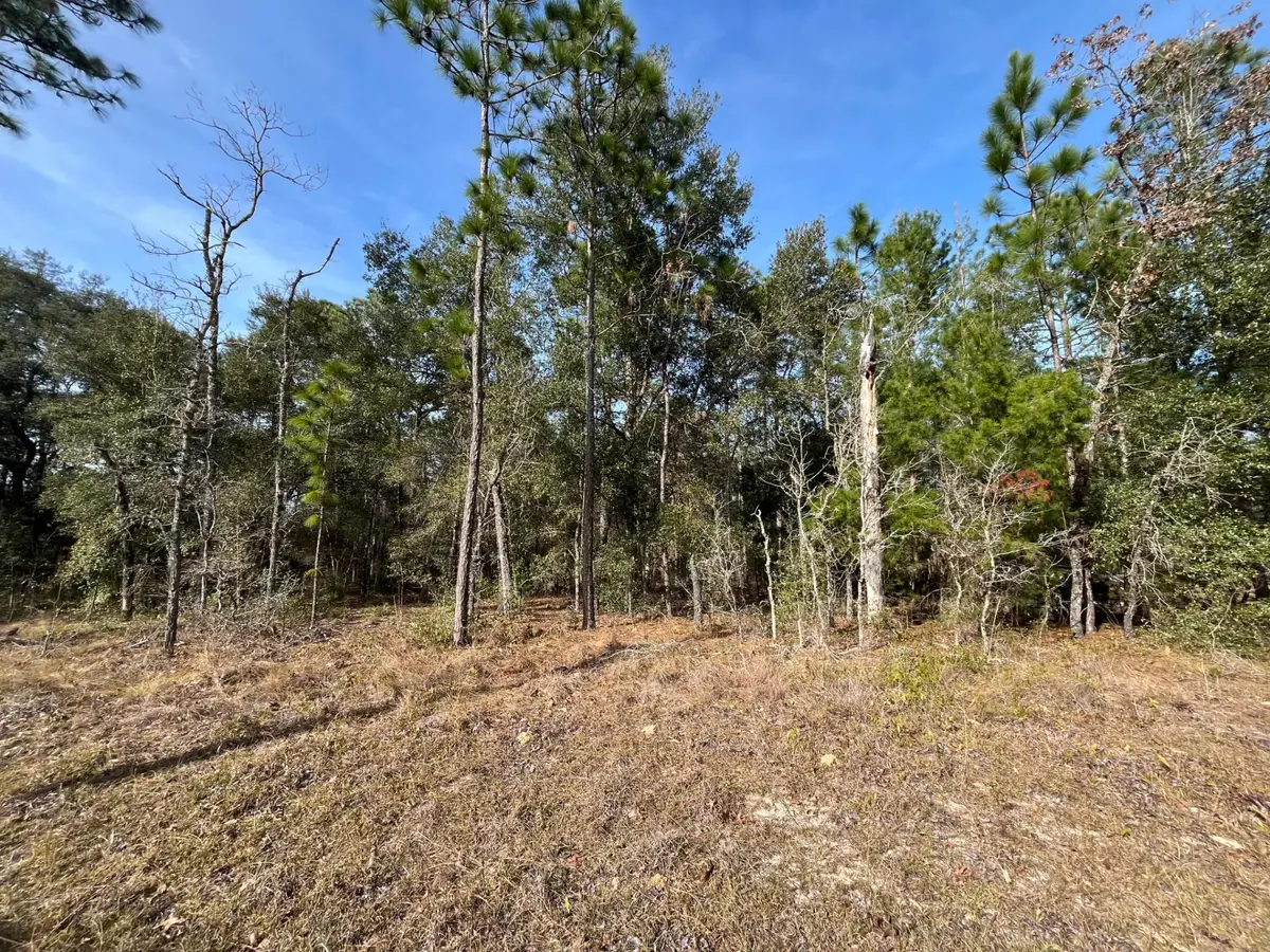 6168 Emory Avenue, Keystone Heights, FL 32656 - #1