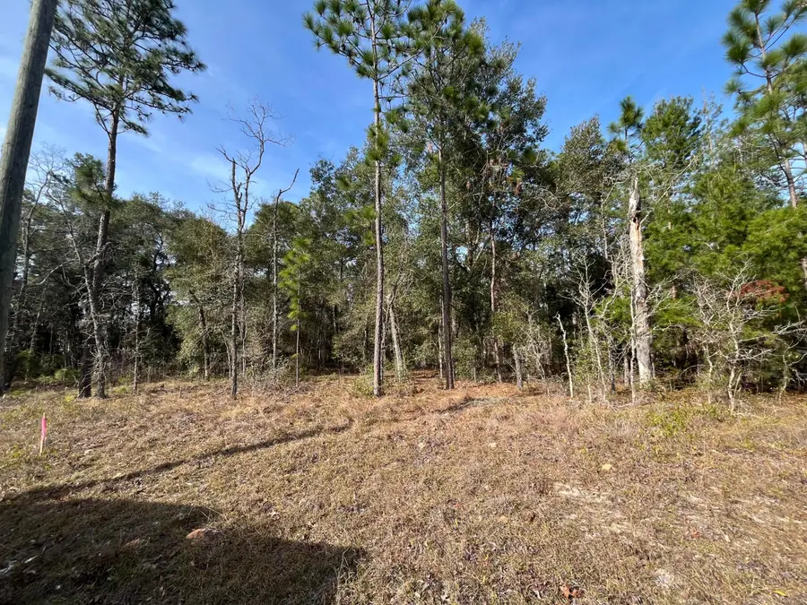 6168 Emory Avenue, Keystone Heights, FL 32656 - #2