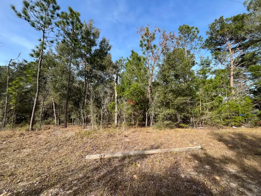6168 Emory Avenue, Keystone Heights, FL 32656 - #3