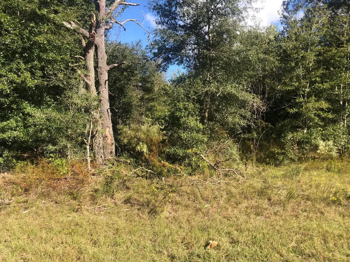 0 Dawn Avenue, Interlachen Florahome, FL 32148 - #1
