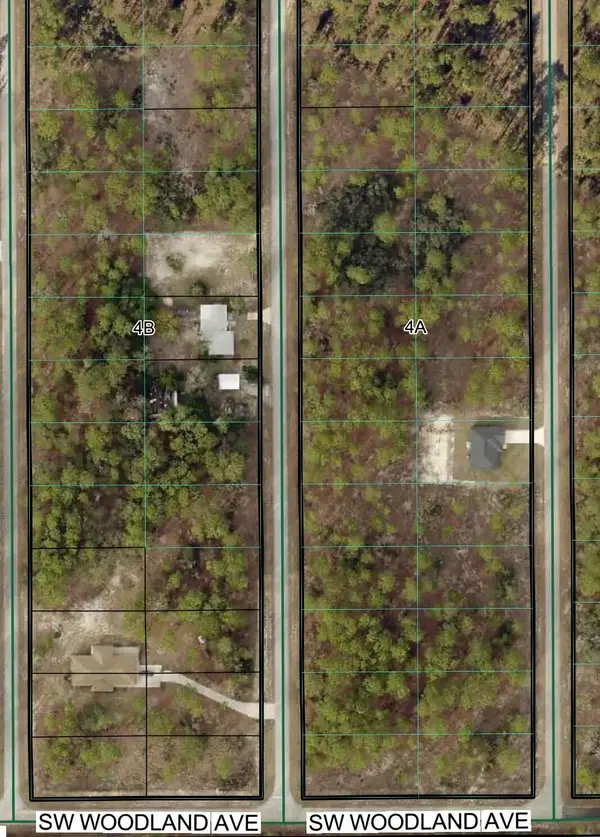 Tbd SW Buena Vista Road, ,, FL 34431