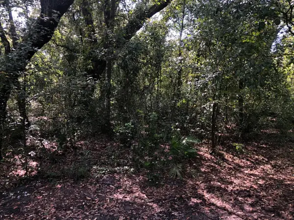0 Co Rd 54, ,, FL 33849
