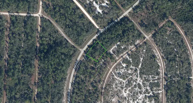 721 Wildflower Street, Lake Placid, FL 33852 - #1