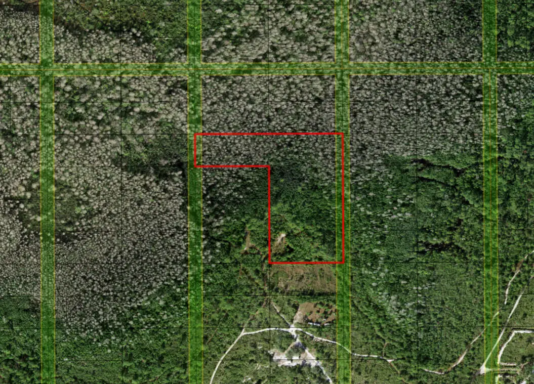 0 Holopaw Groves Road, South And East Osceola, FL 34772 - #1