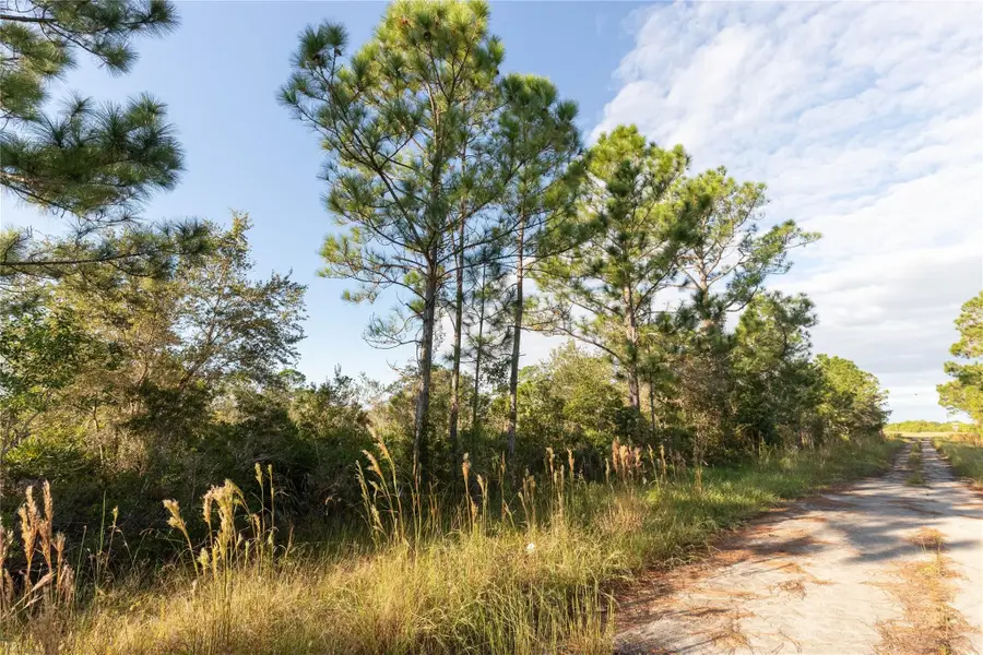 754 American Street, Lake Placid, FL 33852 - #3
