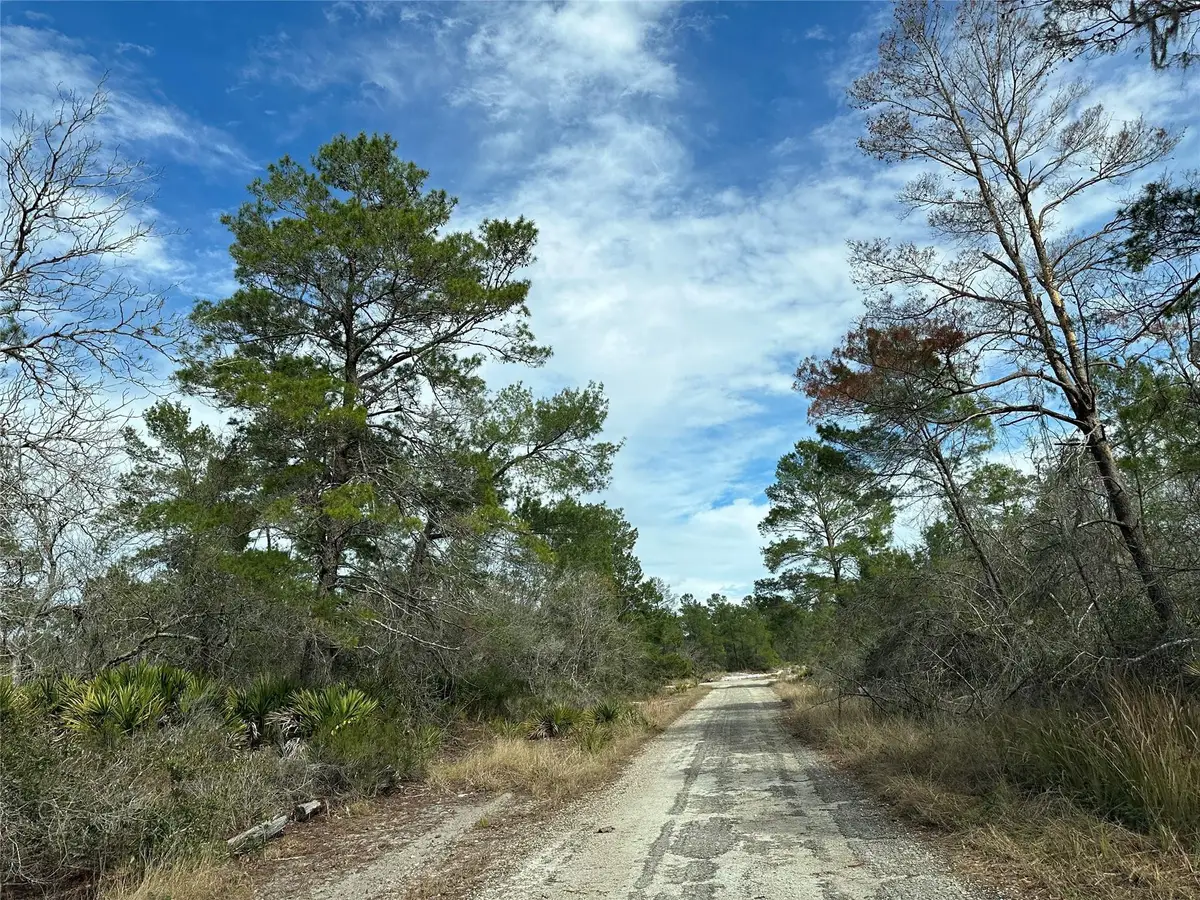4508 Briarcliff Avenue, Sebring, FL 33875 - #1