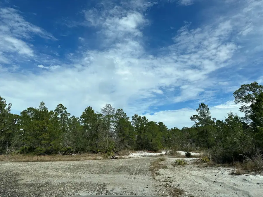 4508 Briarcliff Avenue, Sebring, FL 33875 - #2