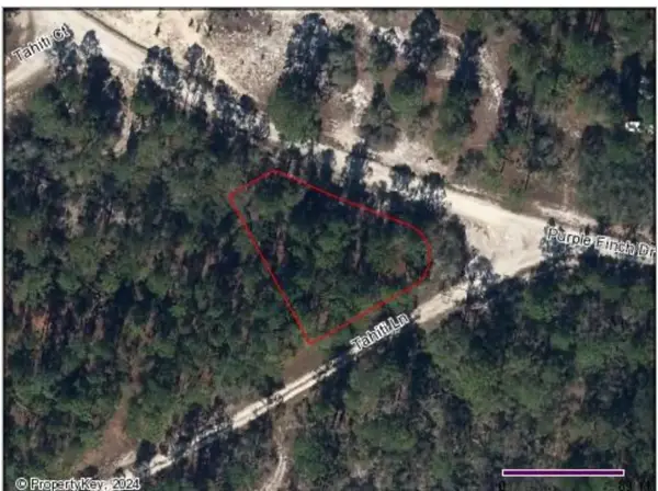 428 Tahiti Lane, Lake Placid, FL 33852