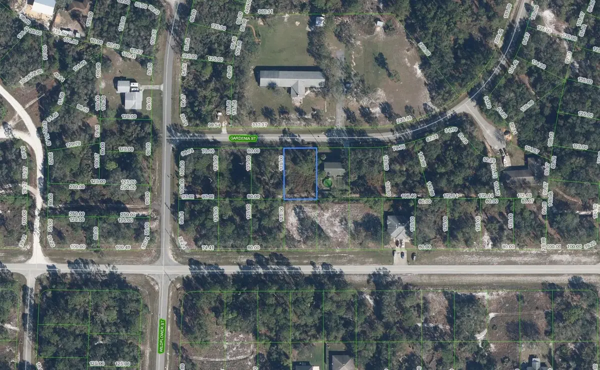 805 Gardenia Street, Lake Placid, FL 33852 - #1