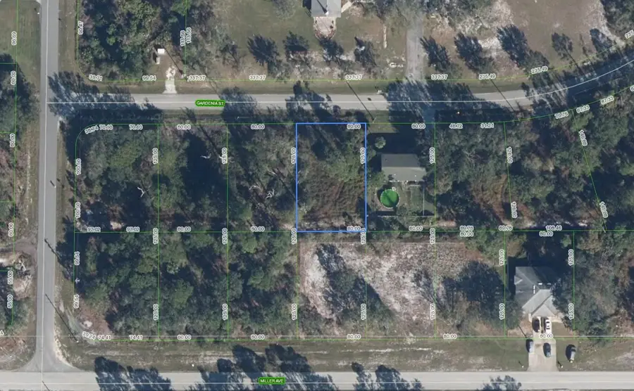 805 Gardenia Street, Lake Placid, FL 33852 - #2