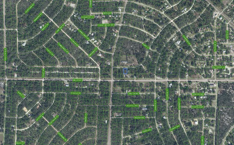 805 Gardenia Street, Lake Placid, FL 33852 - #3