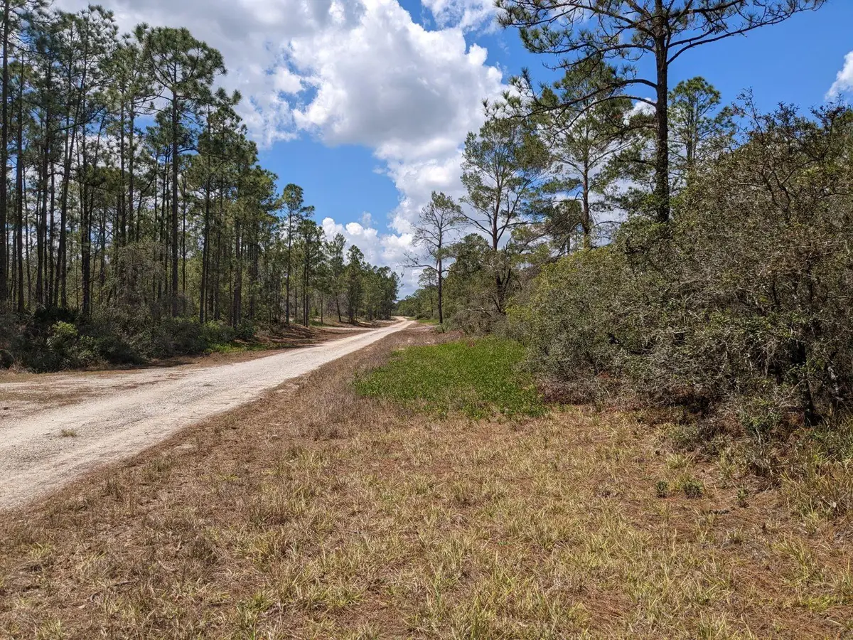 430 Apple Blossom Avenue, Lake Placid, FL 33852 - #1