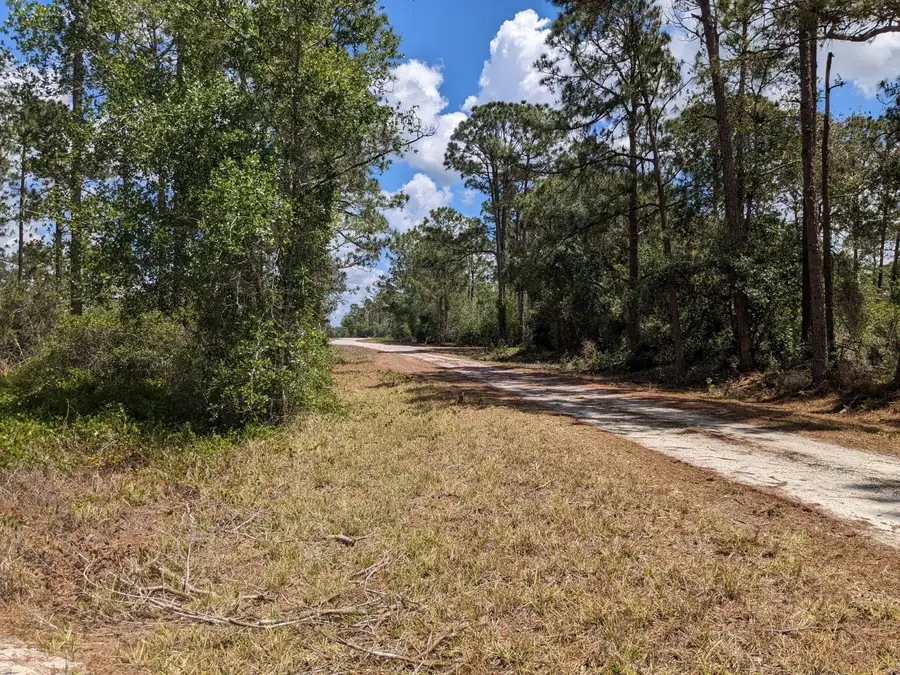 430 Apple Blossom Avenue, Lake Placid, FL 33852 - #2