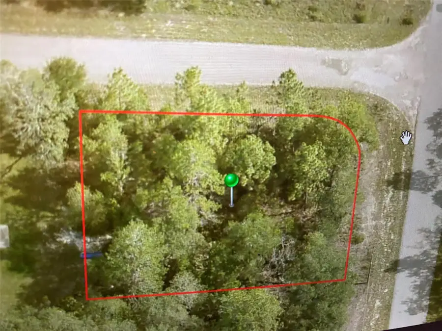 6689 N Bedstrow Boulevard, Pine Ridge, FL 34434 - #2