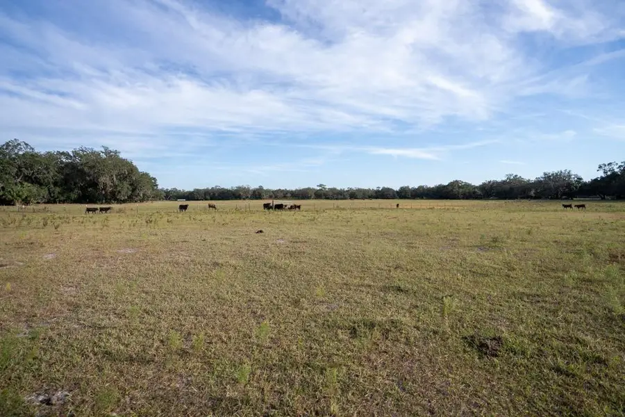 0 Lake Hatcheneha, Haines City, FL 33844 - #2