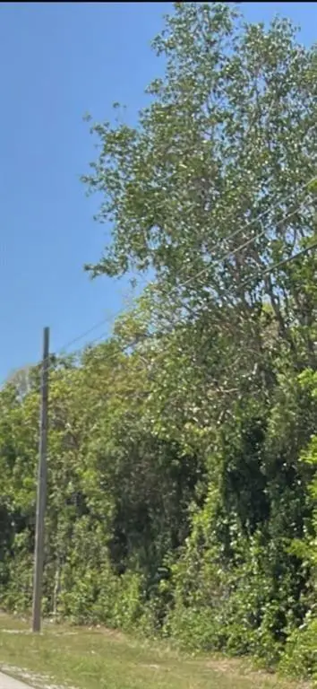 167th & Card Sound Road, Homestead, FL 33035 - #1