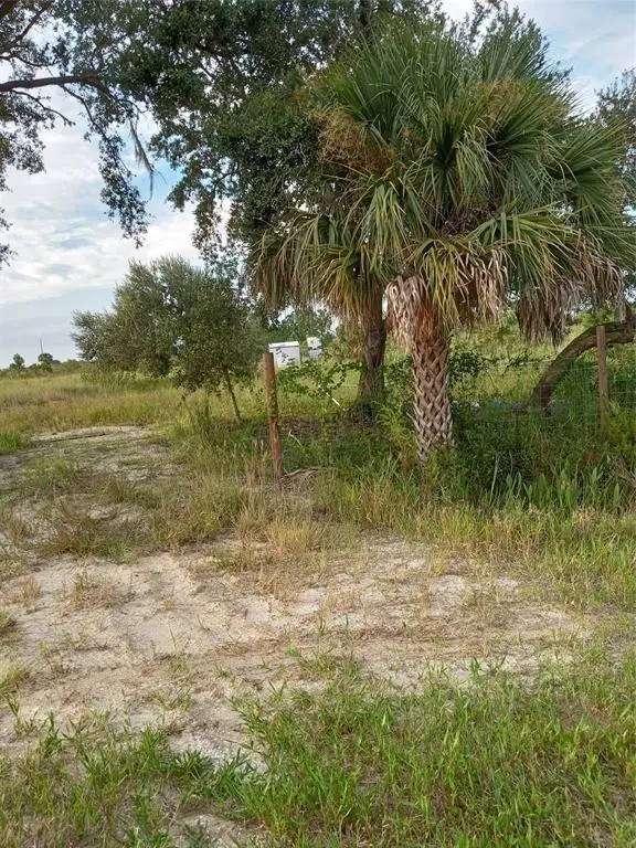 17925 NW 316th Street, Okeechobee, FL 34972 - #3