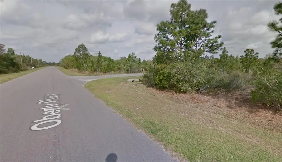 12A Oberly Parkway, Wedgefield, FL 32833 - #3