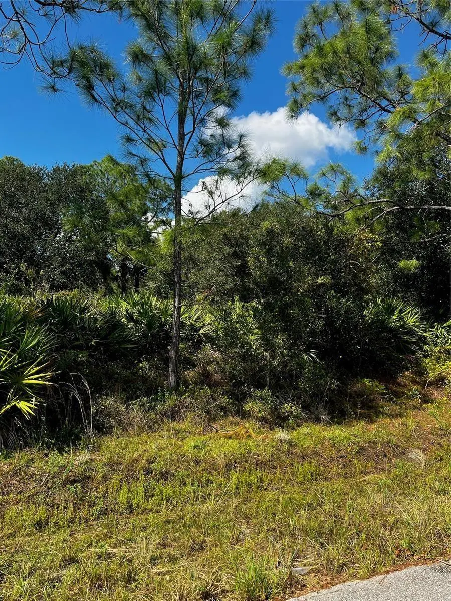 1221 Hamilton Avenue, Lehigh Acres, FL 33972 - #3
