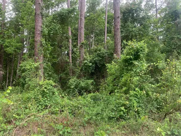 121 Coot Drive, ,, FL 32148