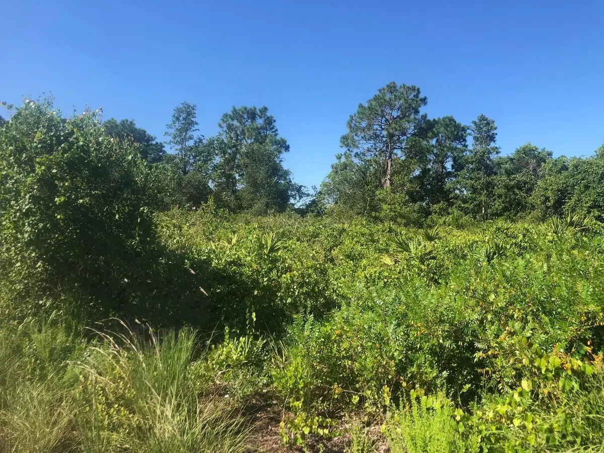 153 Disney Boulevard, Avon Park, FL 33825 - #1