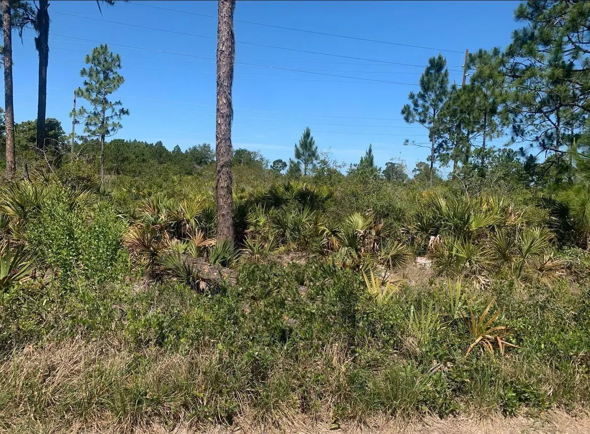 329 Phesant Boulevard, Sebring, FL 33872 - #1